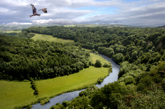 River Wye, Herefordshire